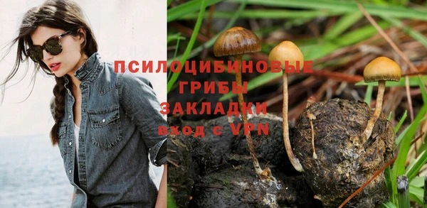 ALPHA-PVP Богородск